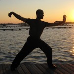 sunset-single-whip-anthony