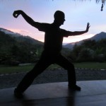 single-whip-costa-rica
