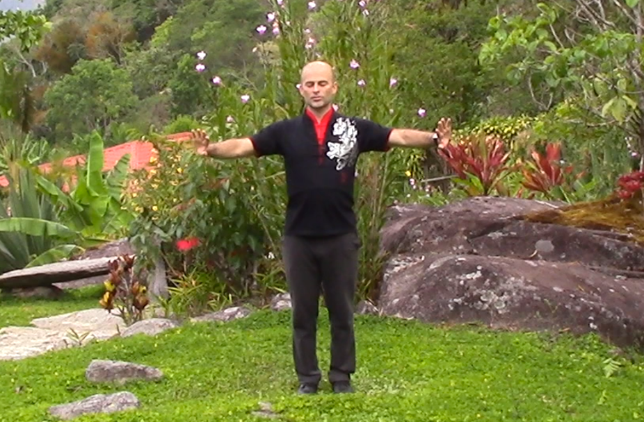 History of Qigong The 18 Luohan Hands Flowing Zen
